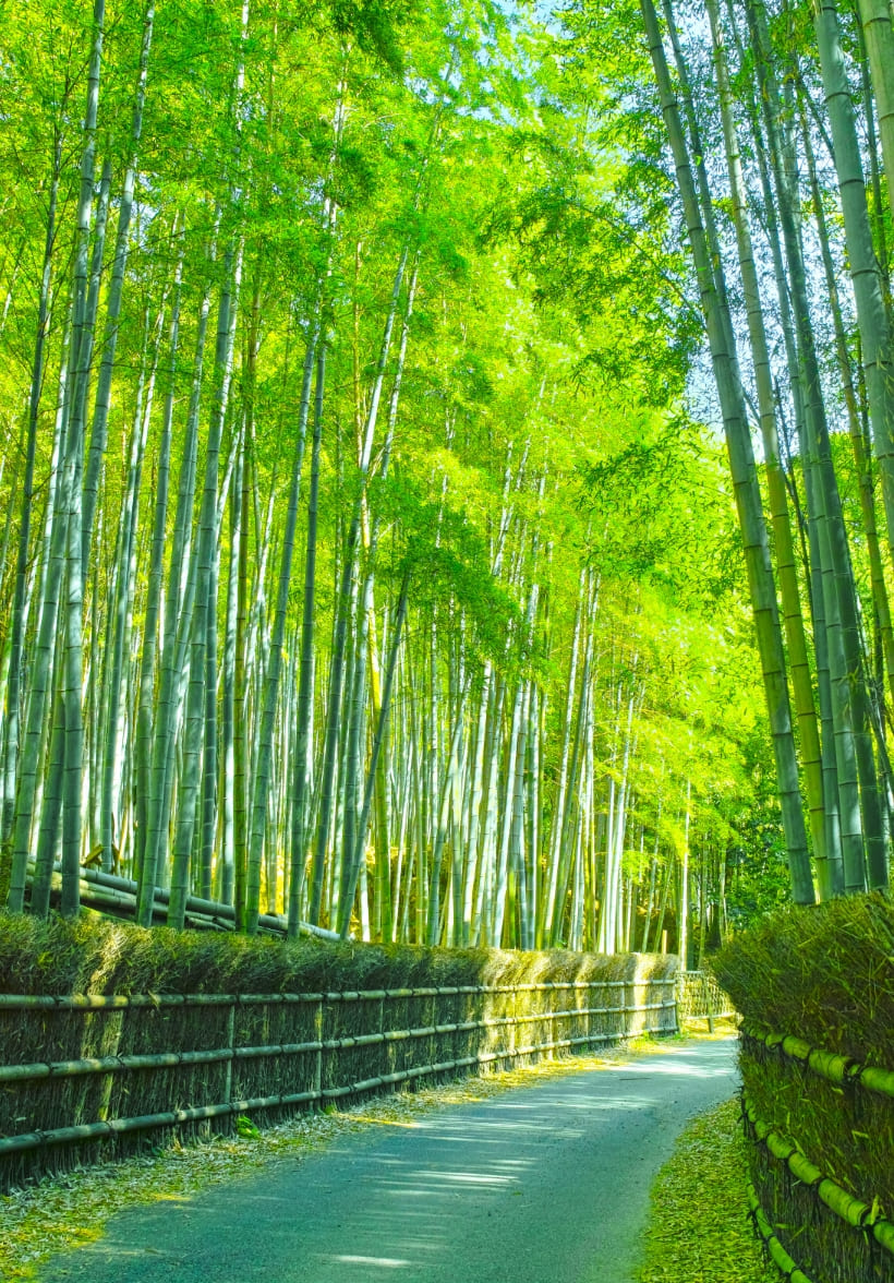 京くらぶ案内人ご挨拶