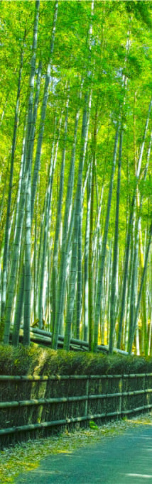 京くらぶ案内人ご挨拶